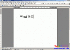 ��ν�Word2003�ĵ����óɿ���