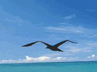 Fireworks制作GIF动画图片教程【图】_新客网